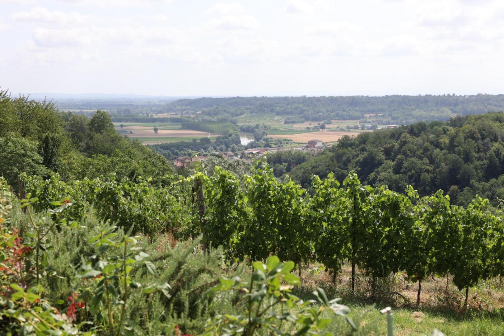 Braida Wine Resort Rocchetta Tanaro Εξωτερικό φωτογραφία
